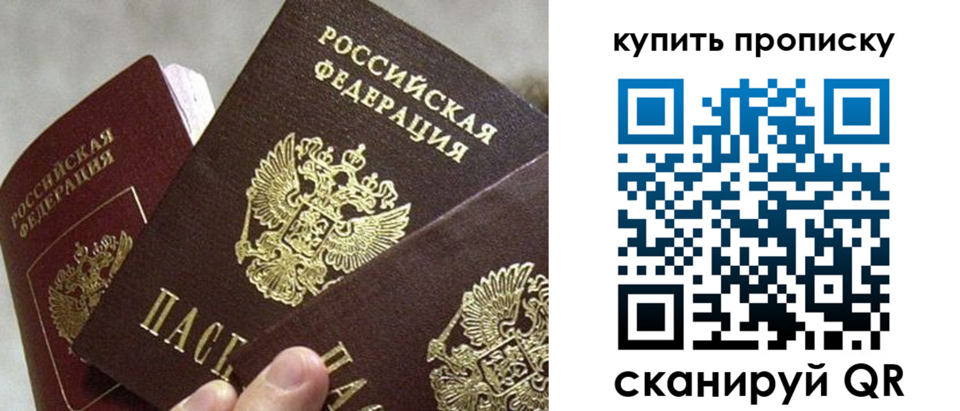 прописка для школы в Таганроге